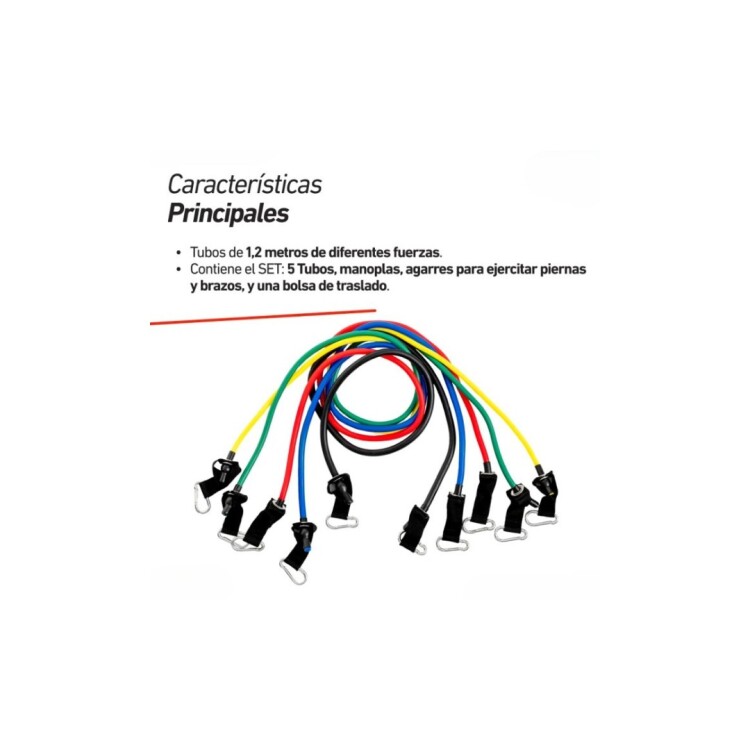SET BANDAS ELASTICAS DE RESISTENCIA TUBO CON BOLSO MULTICOLOR
