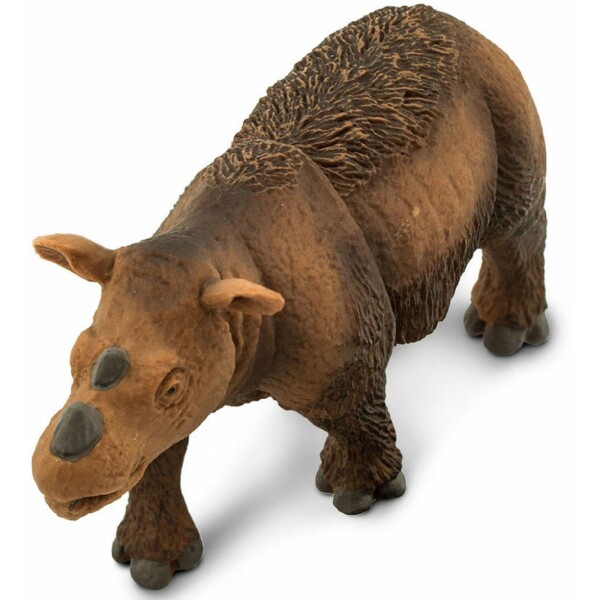 Rinoceronte De Sumatra Safari Figura Escala Muñeco Aniaml Rinoceronte De Sumatra Safari Figura Escala Muñeco Aniaml