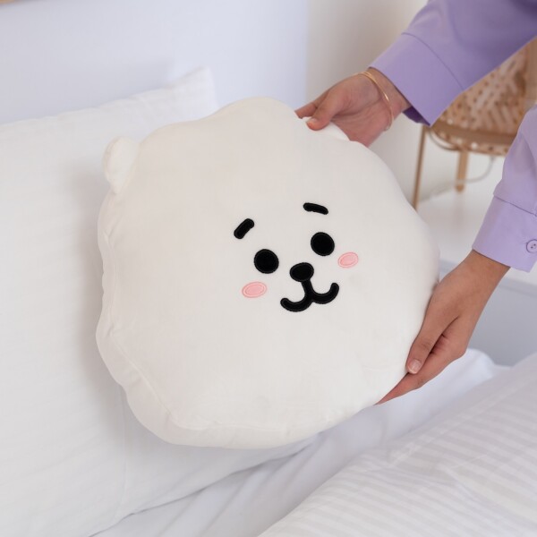 Almohadón BT21 Rj