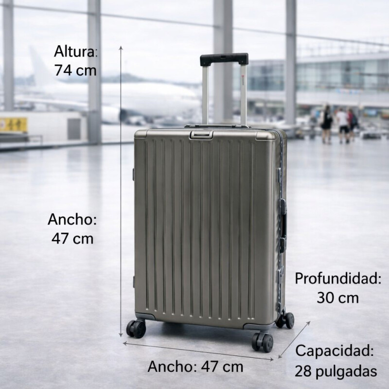 Valija Rígida de Policarbonato con Ruedas 28' Gris Acero
