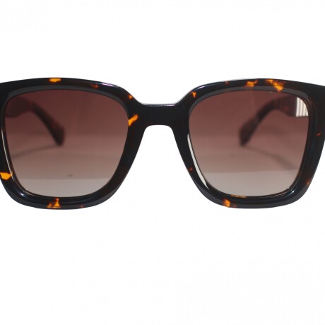 6085 Sol Carey+Marron
