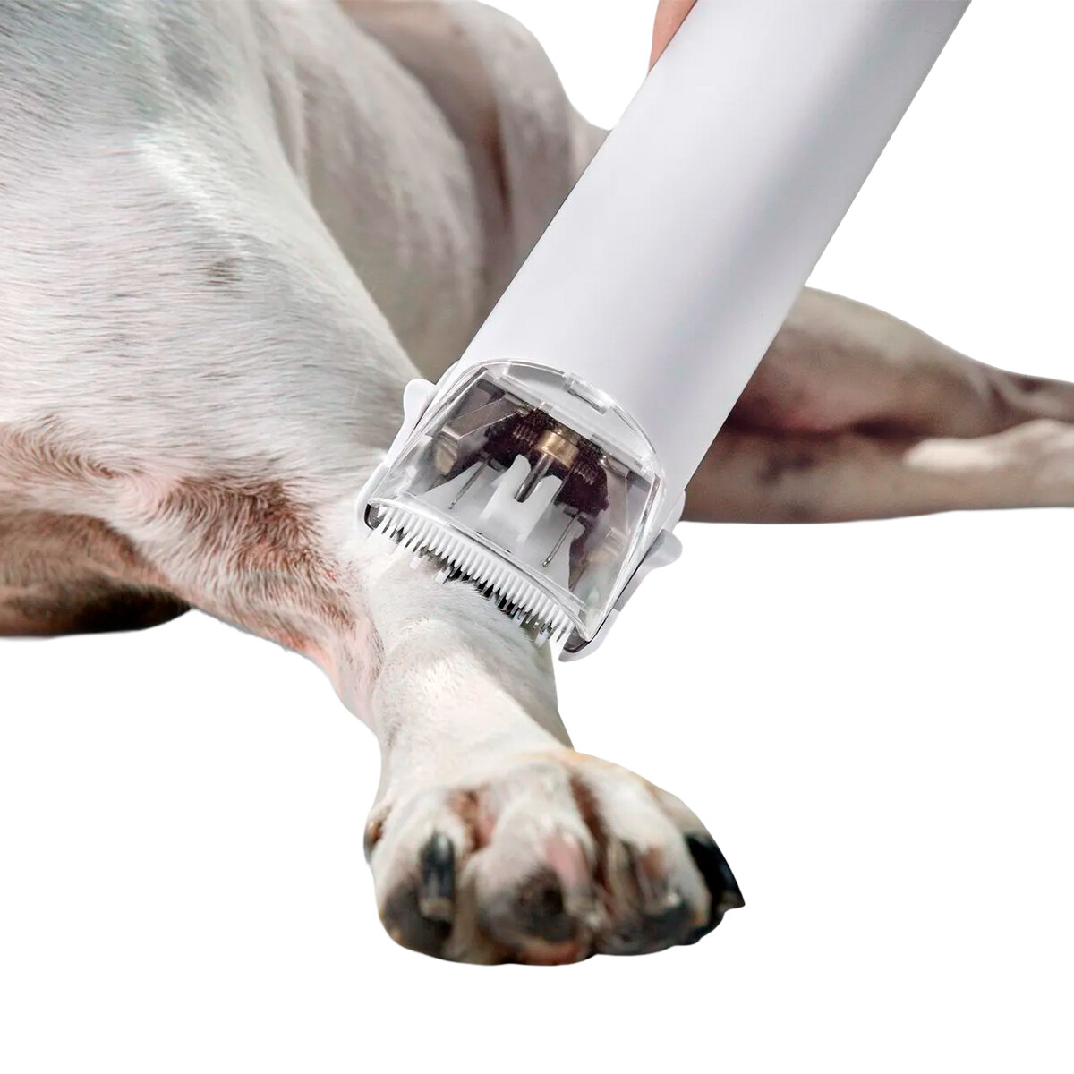 Aspiradora Mascota Karcher Pet Clean Con Cortapelo Esquiladora Perro Gato Aspiradora Mascota Karcher Pet Clean Con Cortapelo Esquiladora Perro Gato
