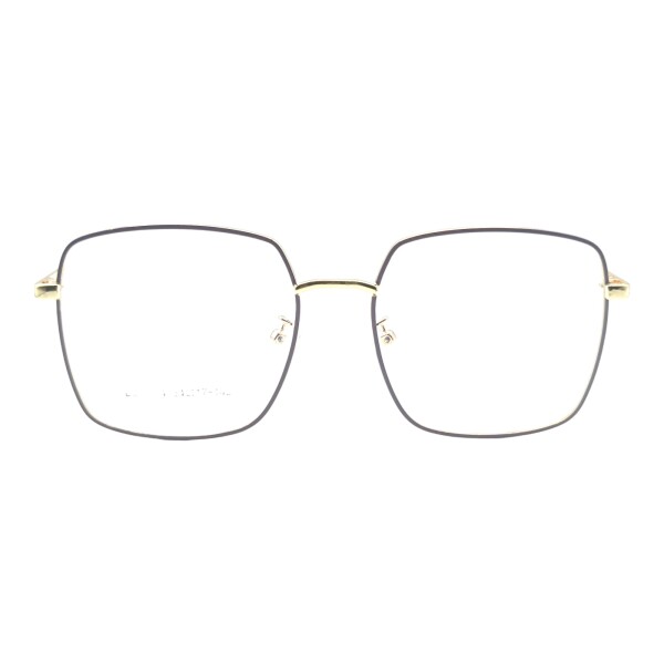 FS030461 lilacombinado