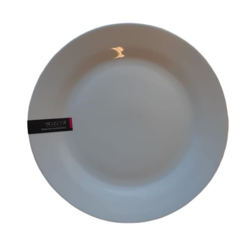 Plato Playo 26.6cm. Plato Playo 26.6cm.