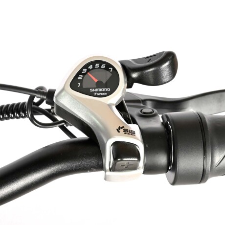 Bicicleta Eléctrica Plegable Gyroor EB028 R20 para Adultos Negro