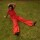 Dancing Queen Pants Rojo