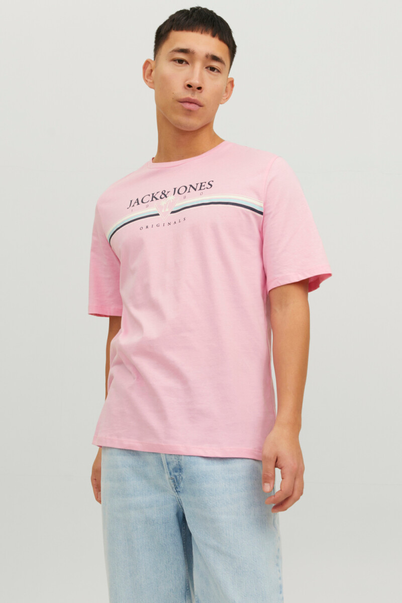 CAMISETA CODY SUMMER Prism Pink