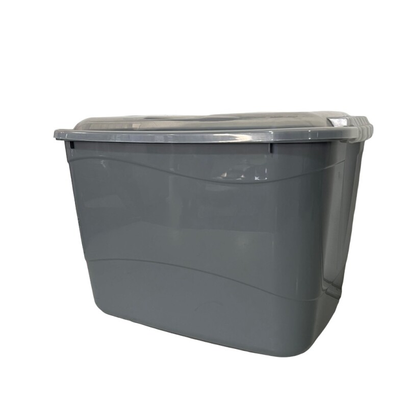Caja Organizadora rectangular grande de plástico con trabas - RAINHA Caja Organizadora rectangular grande de plástico con trabas - RAINHA