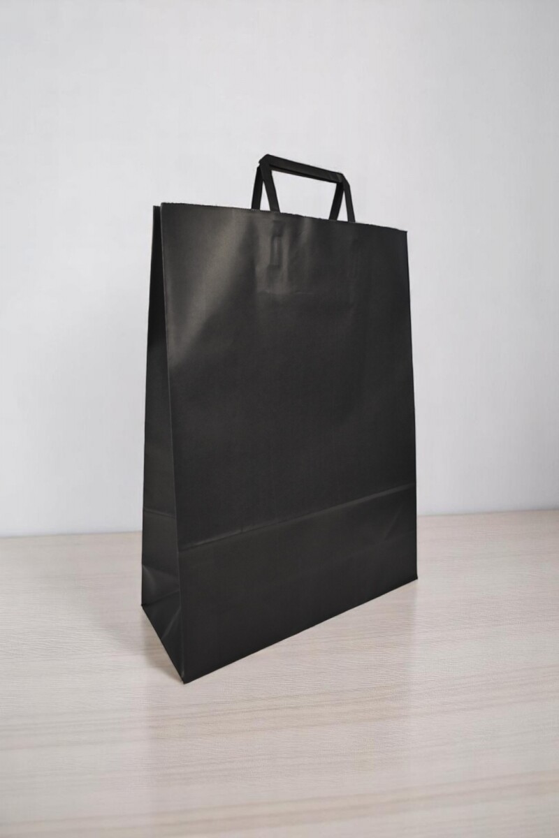Bolsa lisa acuario 30x12x41 cm - NEGRO 