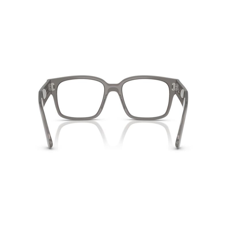 Ray Ban Rx7256 8431