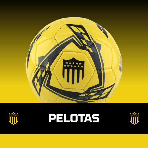Pelotas Peñarol