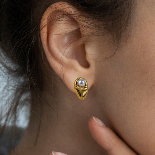 CARAVANA VENUS DORADA CARAVANA VENUS DORADA