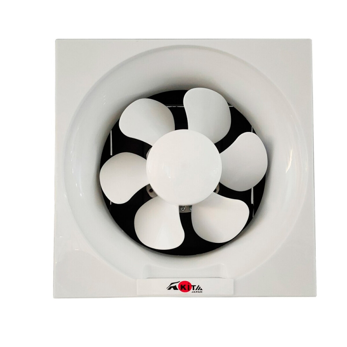 Extractor De Aire Para Muro 25 Cm EF10P 