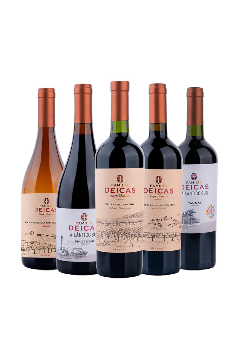 Pack Bacán Selección Salón del vino x5 vinos Familia Deicas 