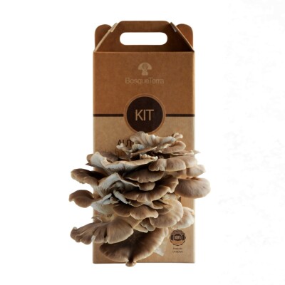 Kit autocultivo Pardas Bosqueterra Kit Autocultivo Pardas Bosque