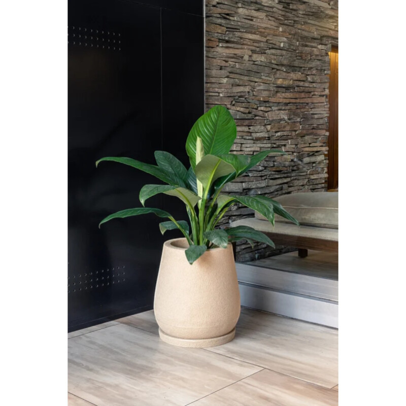 Maceta Plástico Mate 40 Arena