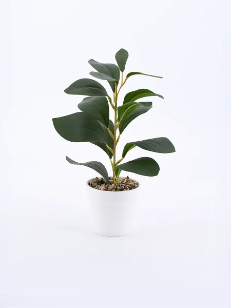 MONSTERA PLANTA CON MACETA VERDE