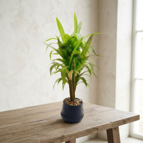 Planta Artificial 40cm Planta Artificial 40cm