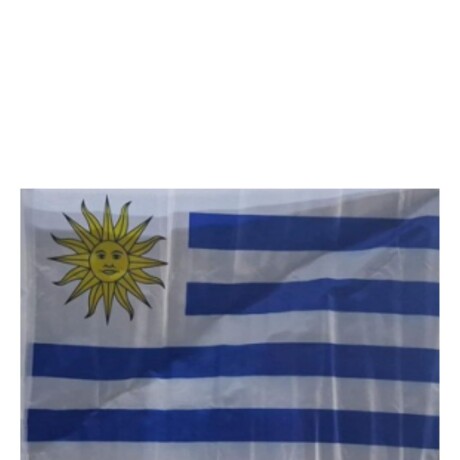 BANDERA AUTO URUGUAY SINTETICA C/SOPORTE 30X45 CM BANDERA AUTO URUGUAY SINTETICA C/SOPORTE 30X45 CM