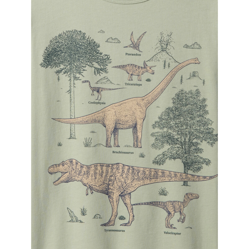 V-FEB SS VAL GR DESERT SAGE