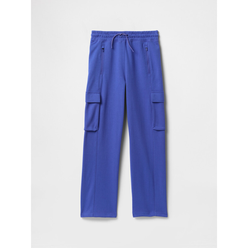 SP FASH FIT TECH BOTTOM DAZZLING BLUE V2