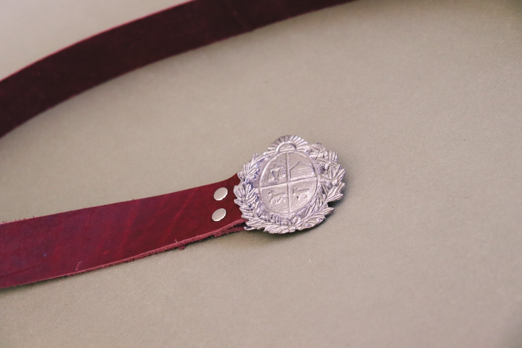 Simple Escudo Belt - Oscuro Con Plateado 