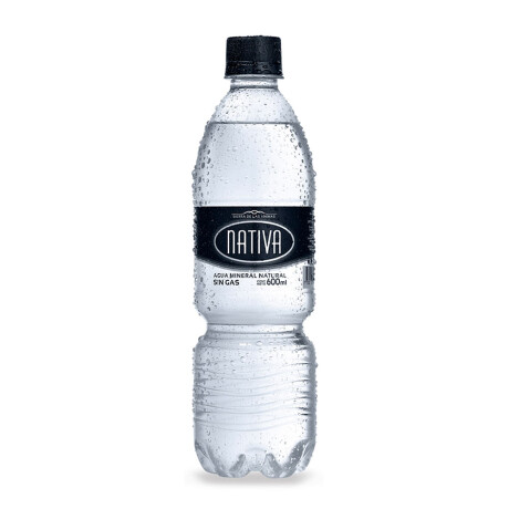 AGUA NATIVA 600 ML S/GAS AGUA NATIVA 600 ML S/GAS