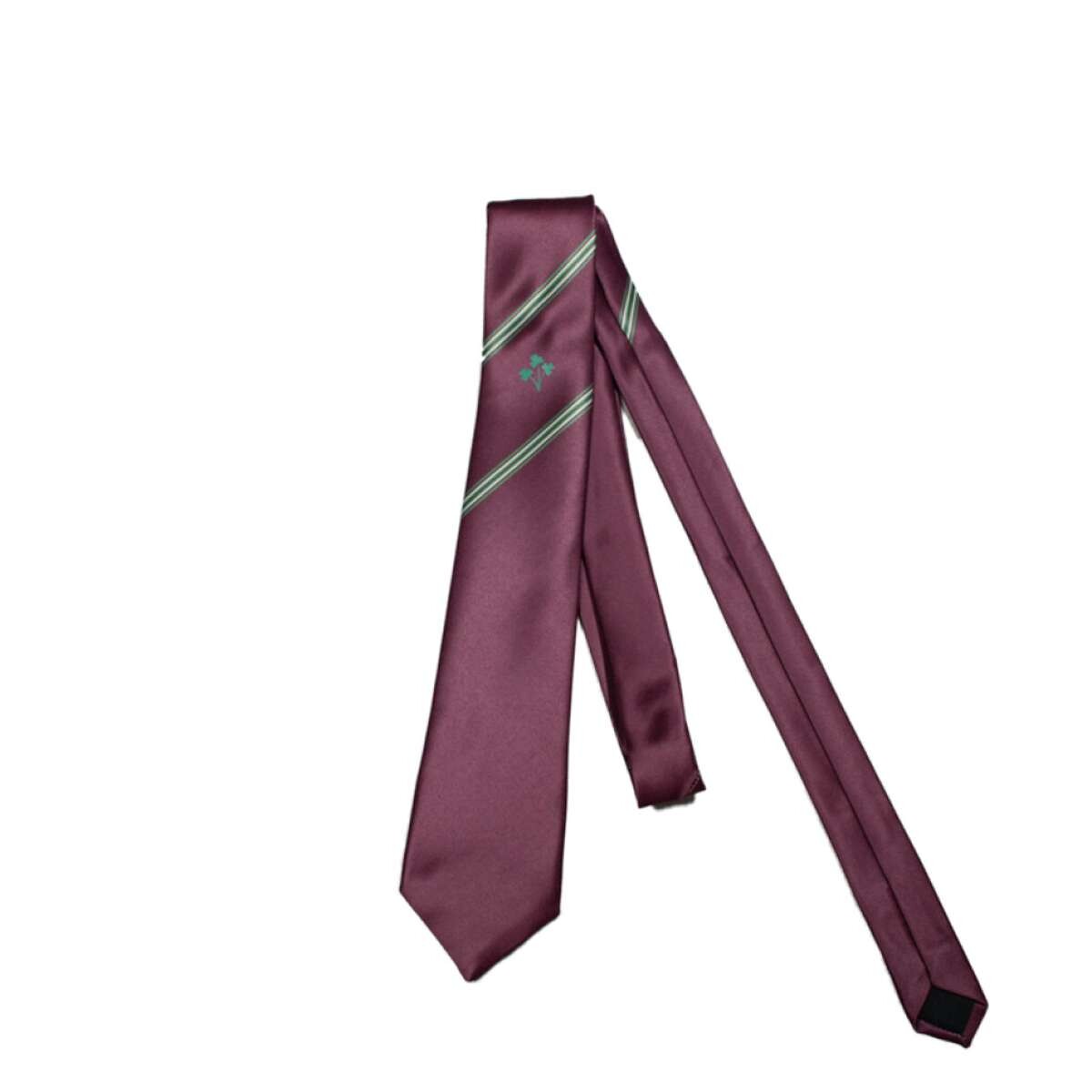 Corbata liceo - Colegio Stella Maris 