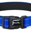 Collar Para Mascotas Talle M Refractario AZUL
