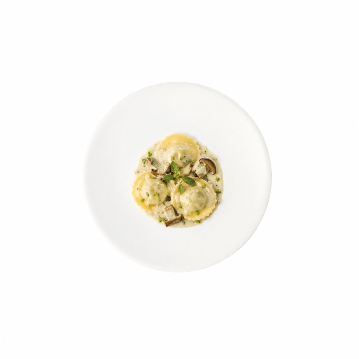 Plato Jumbo de Porcelana Blanca 18 cm Actualite 