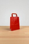 Bolsa lisa acuario 14x08x20 cm ROJO