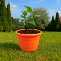 MACETA REDONDA EDEN 38 LITROS 45X32,5CM TEJA TERRACOTA