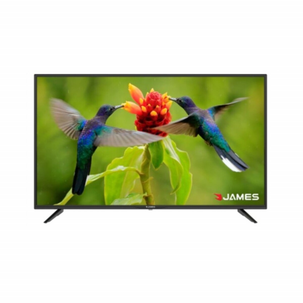 Televisor Smart James 43" - Led S43 T2E 