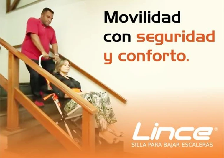 ¿Por qué LINCE?