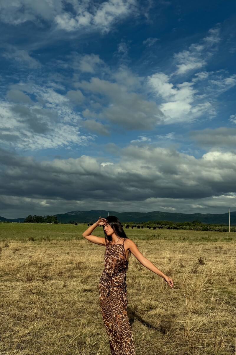 Mini Balls Dress Chocolate