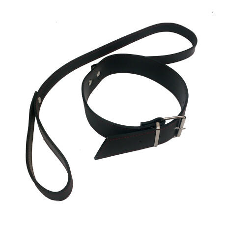Collar Cuero y Correa Collar Cuero y Correa