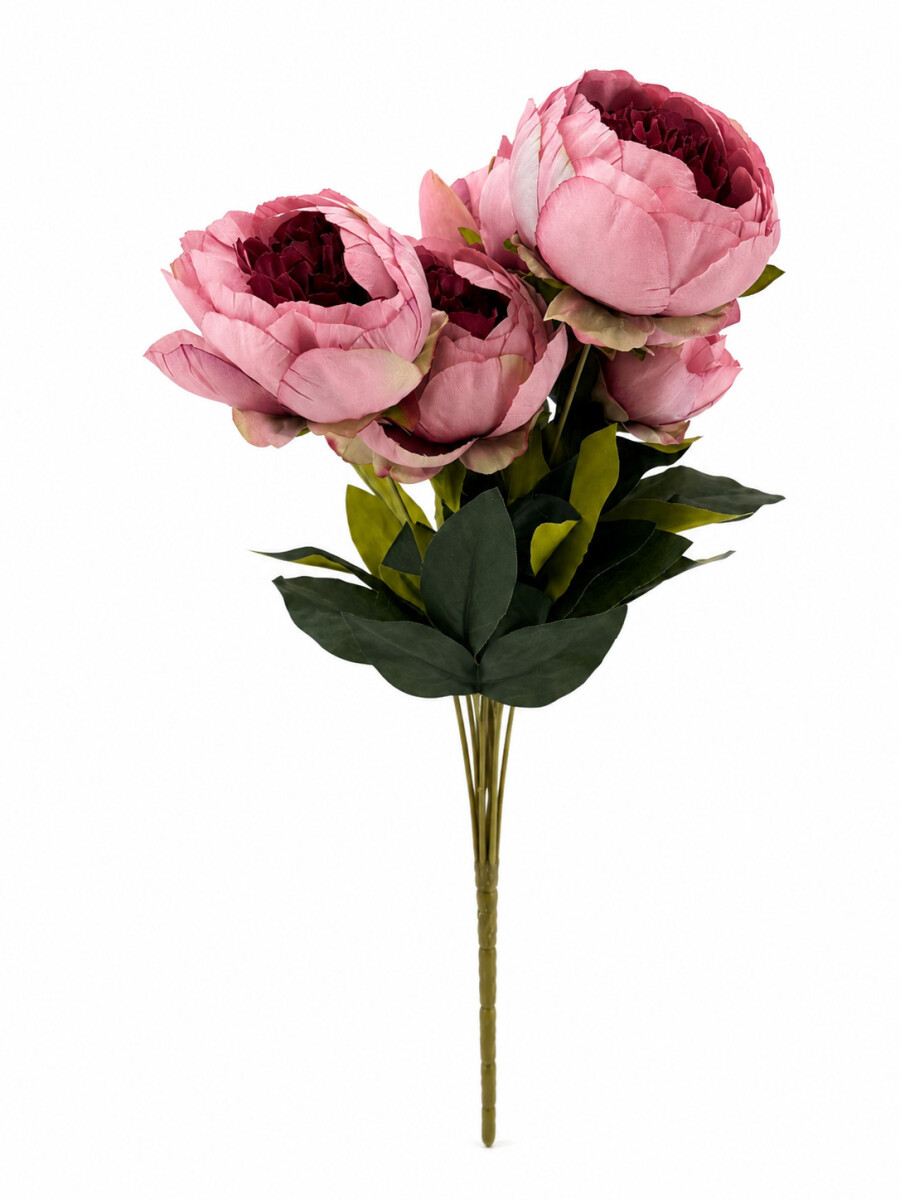 ROSAS ROSA - ROSADO 