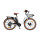 Bicicleta Eléctrica Urbana Voltbike Grace Urban 350 W Rodado 26 Batería de Litio Blanco