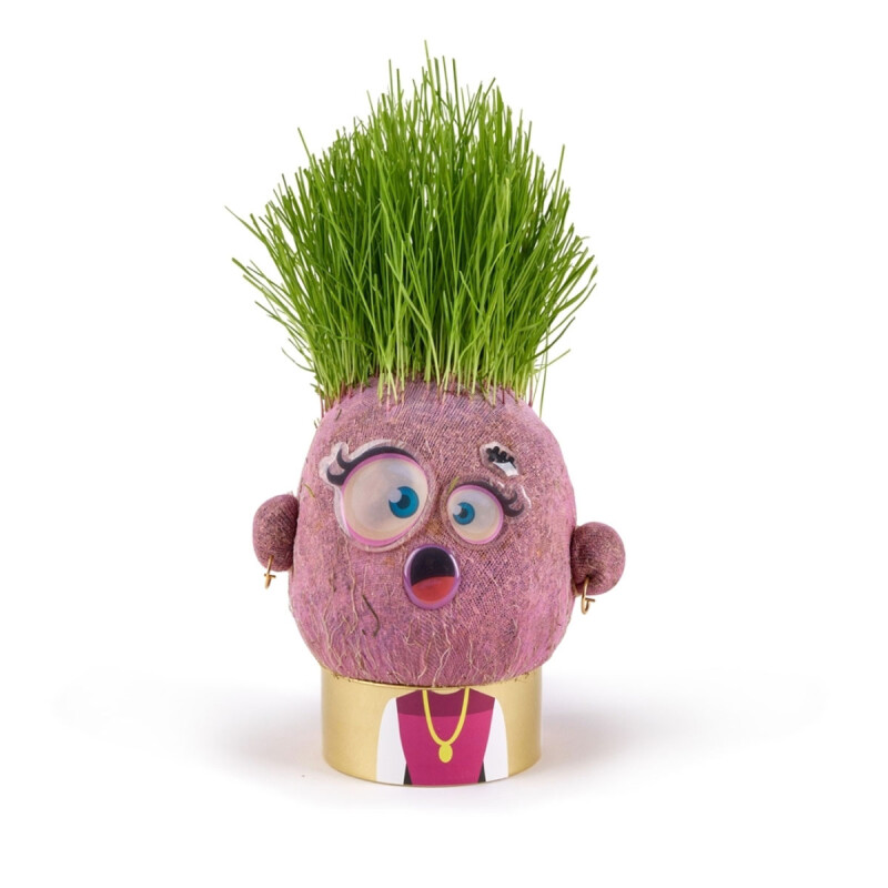 Cabeza de pasto Plant Pals Monsters Hape Surprised Sandra