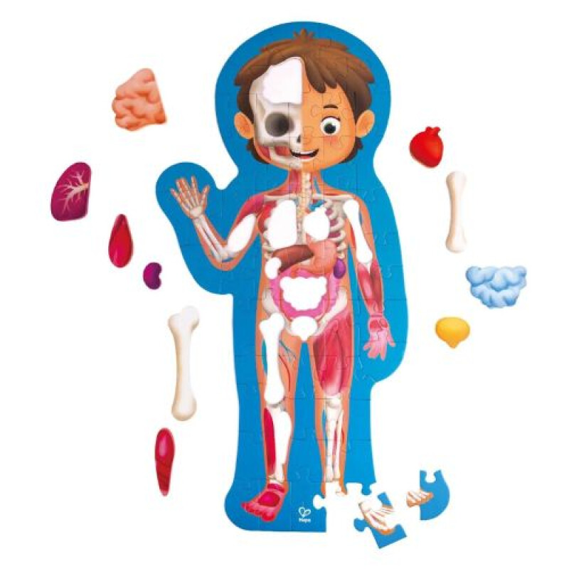 Puzzle Cuerpo Humano de Piso 1m 60pzas Puzzle Cuerpo Humano De Piso 1m 60pzas