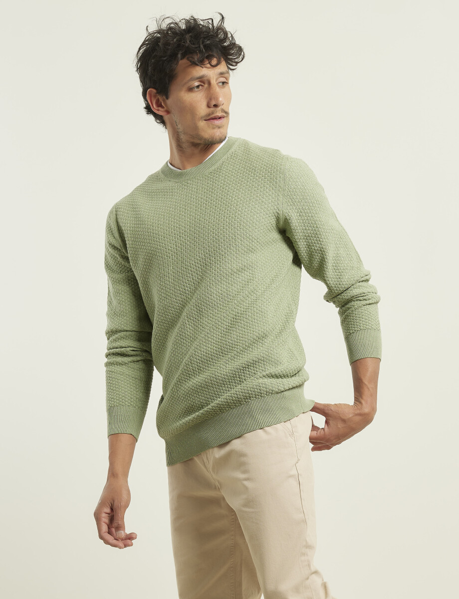 470591 SWEATER PUNTO FINO HARRINGTON LABEL Verde