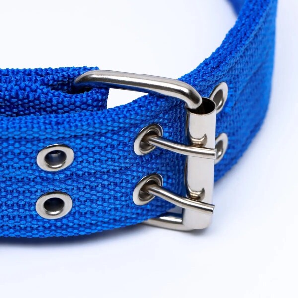 Collar Hebilla Nylon Perros Raza Grande 65 cm Ajustable Variante Color Azul