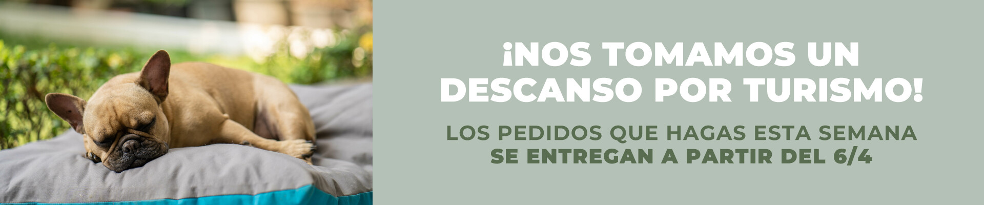 cerramos por turismo