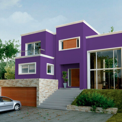 Sinteplast Obras - Latex Interior Exterior Violeta