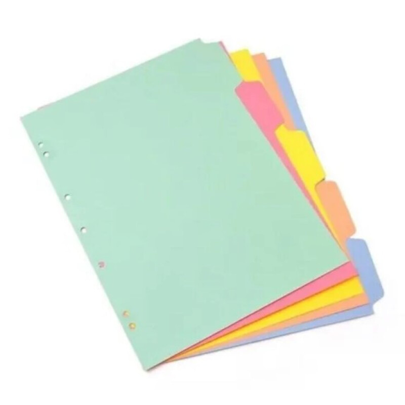 Separador Pastel grande- Cuaderno inteligente Separador Pastel Grande- Cuaderno Inteligente