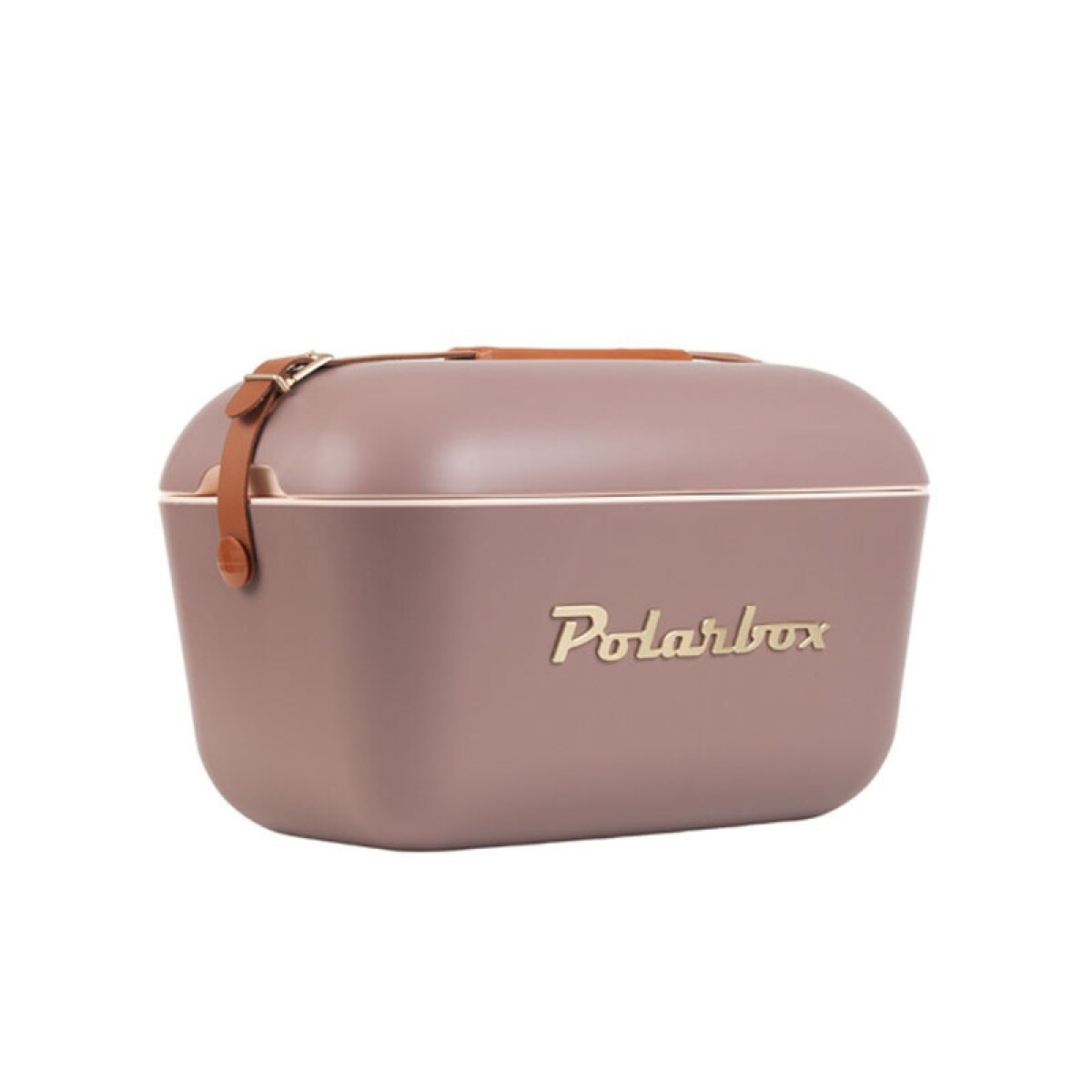 Conservadora Polarbox Classic Retro Vintage 20 L - MALVA 