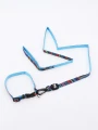 SET COLLAR CON CORREA MULTICOLOR