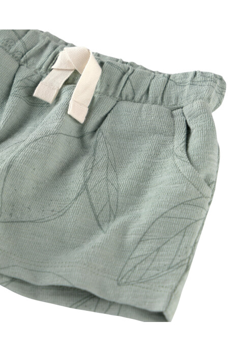 Set dos piezas de algodón orgánico, short y remera, verde, diseño cítricos Sin color