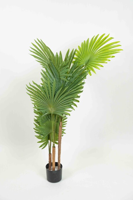 Planta Palma Con Maceta Color Unico