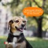 LAGER PERROS ADULTOS LAGER PERROS ADULTOS 22 KG
